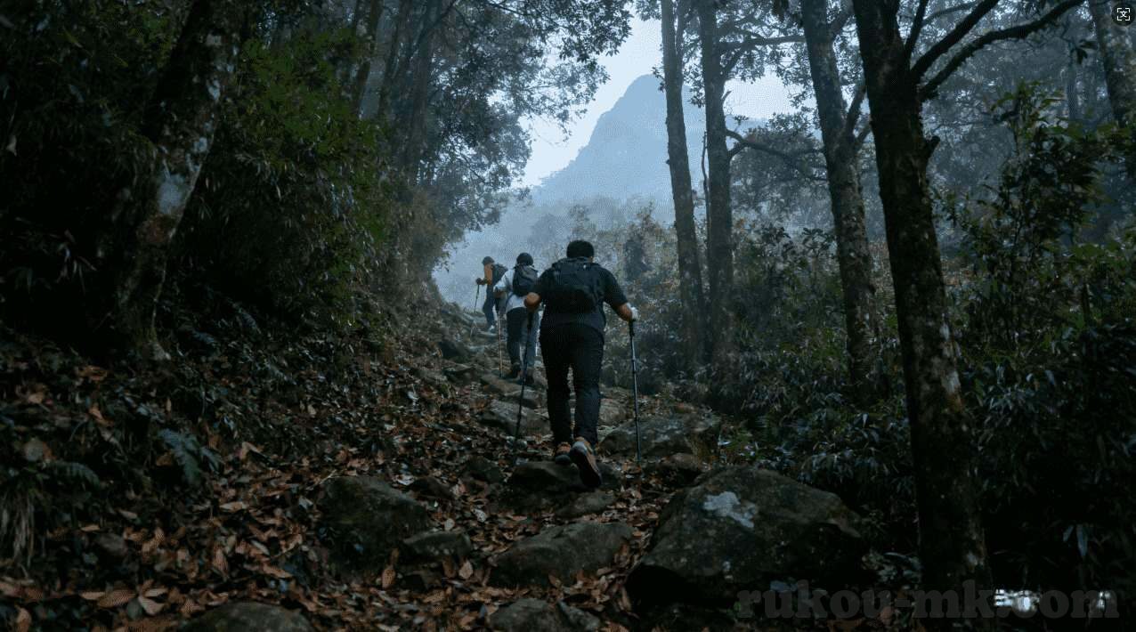 4场世界杯死啦多少人-4场世界杯赛事,足球背后的生命故事